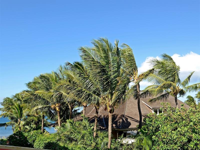 Nani Kai Hale 303 By Vacation Rental Pros Vr Kihei Exterior foto